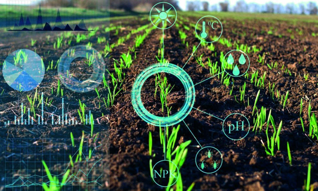 digital metrics overlaid in blue over a sprouting field