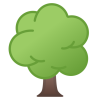 Decidious tree icon