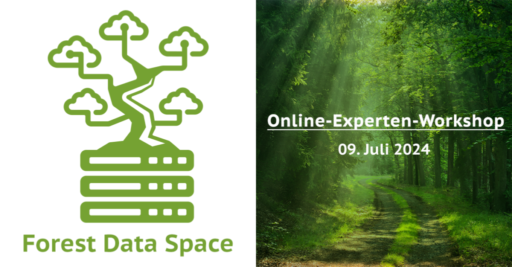 promotional image for the Forest Data Space online expert workshop on 09.07.2024